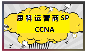 SP CCNA